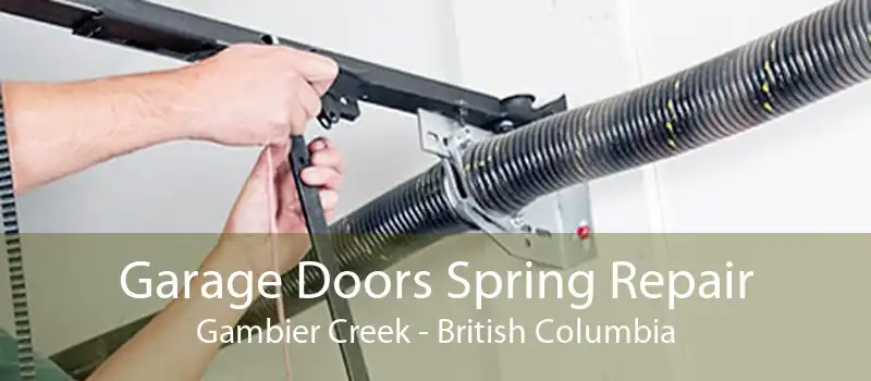 Garage Doors Spring Repair Gambier Creek - British Columbia