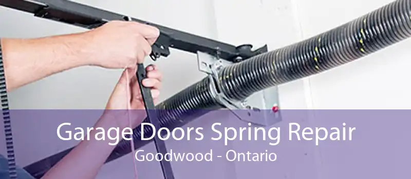 Garage Doors Spring Repair Goodwood - Ontario