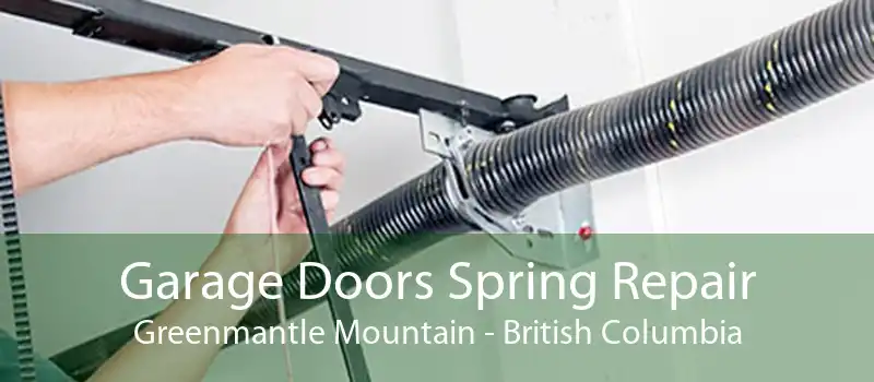 Garage Doors Spring Repair Greenmantle Mountain - British Columbia