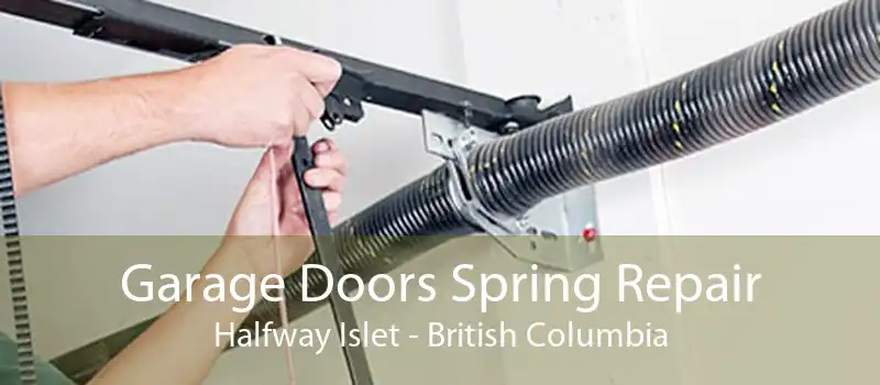 Garage Doors Spring Repair Halfway Islet - British Columbia