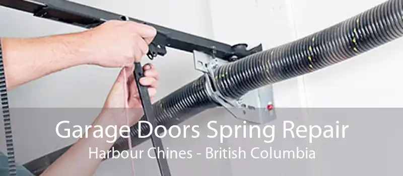 Garage Doors Spring Repair Harbour Chines - British Columbia
