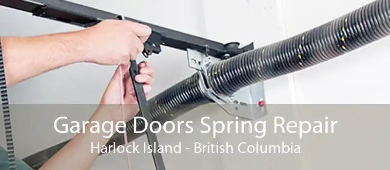 Garage Doors Spring Repair Harlock Island - British Columbia