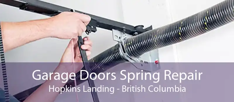 Garage Doors Spring Repair Hopkins Landing - British Columbia