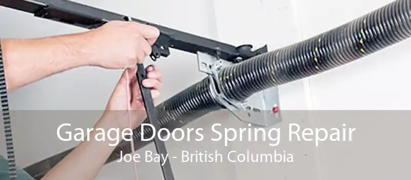 Garage Doors Spring Repair Joe Bay - British Columbia