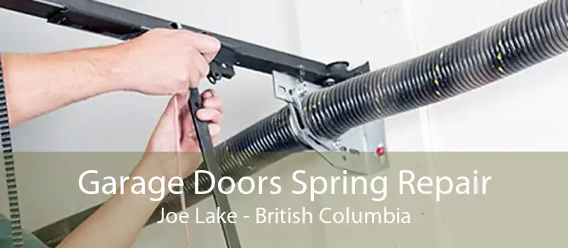 Garage Doors Spring Repair Joe Lake - British Columbia