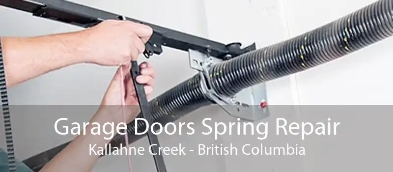Garage Doors Spring Repair Kallahne Creek - British Columbia