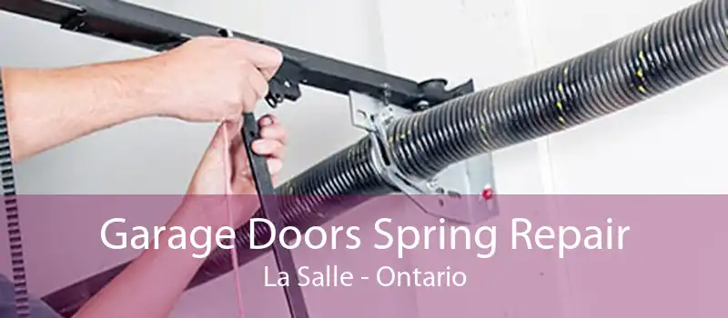 Garage Doors Spring Repair La Salle - Ontario