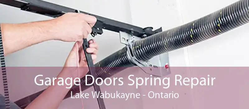 Garage Doors Spring Repair Lake Wabukayne - Ontario