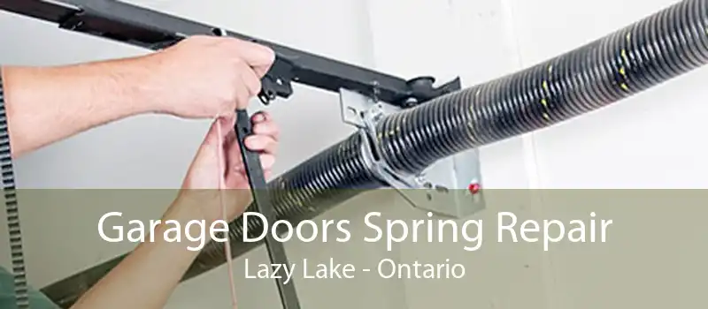 Garage Doors Spring Repair Lazy Lake - Ontario