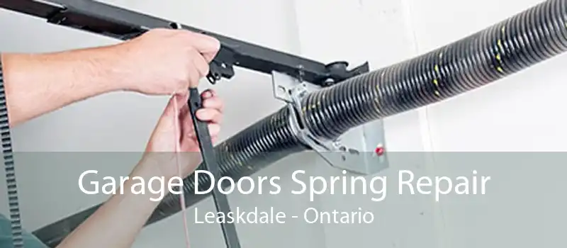 Garage Doors Spring Repair Leaskdale - Ontario
