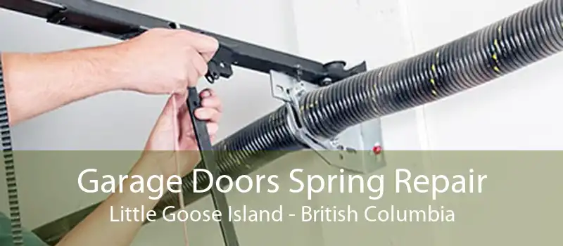 Garage Doors Spring Repair Little Goose Island - British Columbia