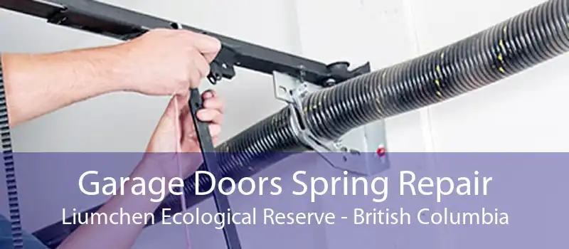 Garage Doors Spring Repair Liumchen Ecological Reserve - British Columbia