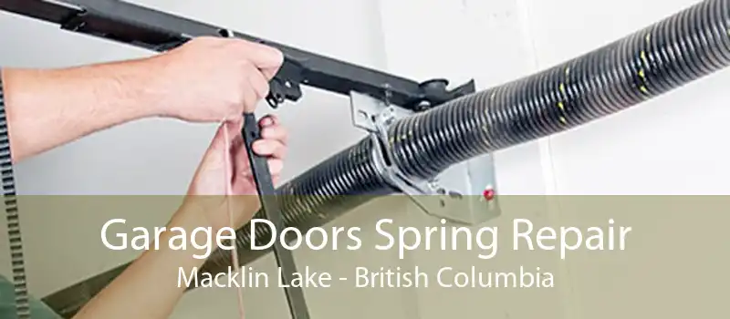 Garage Doors Spring Repair Macklin Lake - British Columbia