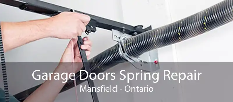 Garage Doors Spring Repair Mansfield - Ontario