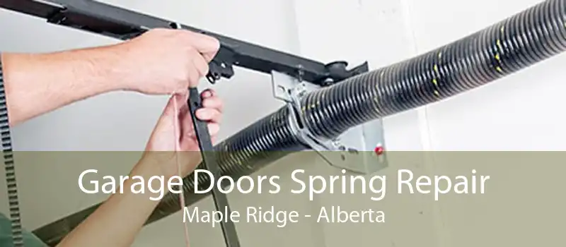Garage Doors Spring Repair Maple Ridge - Alberta