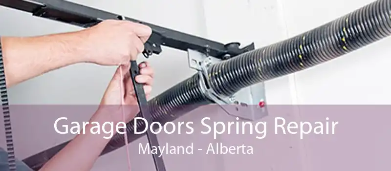 Garage Doors Spring Repair Mayland - Alberta