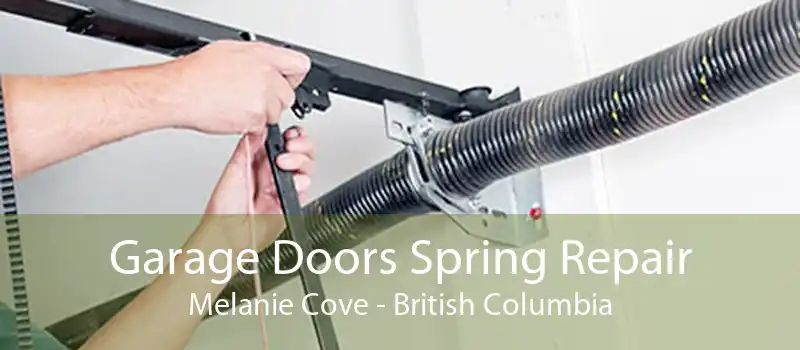 Garage Doors Spring Repair Melanie Cove - British Columbia