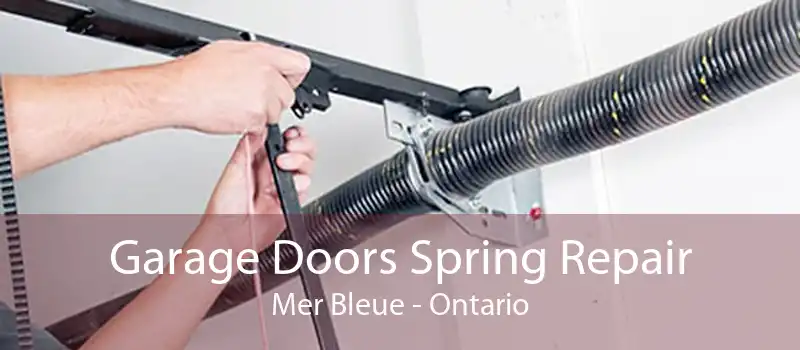 Garage Doors Spring Repair Mer Bleue - Ontario