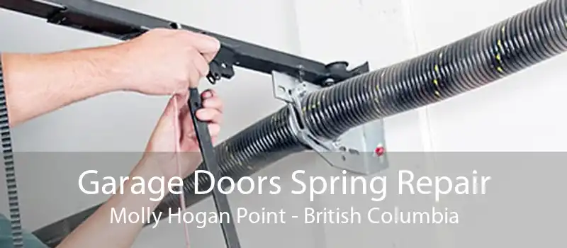 Garage Doors Spring Repair Molly Hogan Point - British Columbia