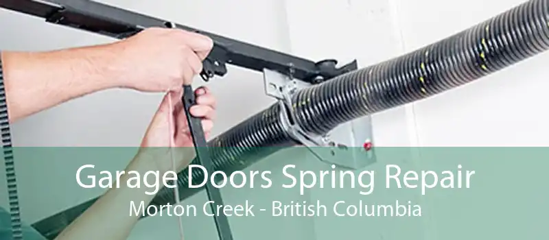 Garage Doors Spring Repair Morton Creek - British Columbia