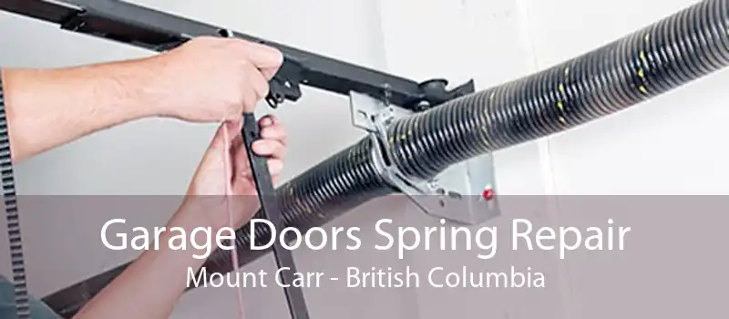 Garage Doors Spring Repair Mount Carr - British Columbia