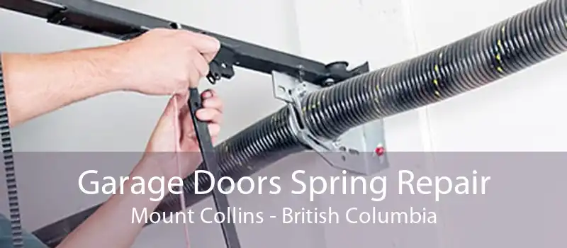 Garage Doors Spring Repair Mount Collins - British Columbia