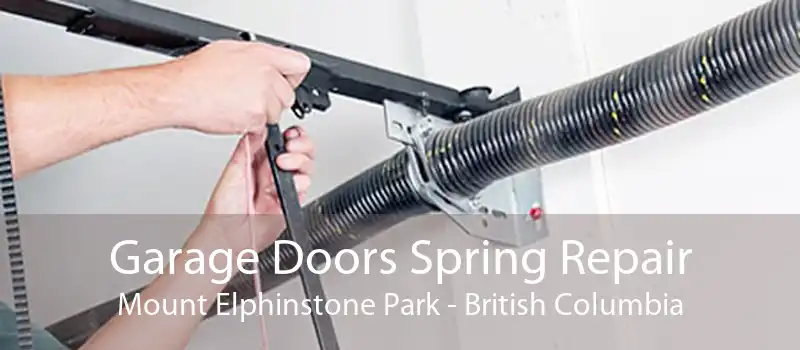 Garage Doors Spring Repair Mount Elphinstone Park - British Columbia
