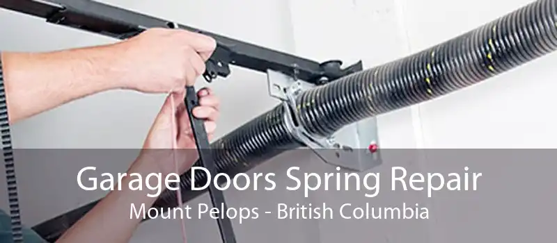 Garage Doors Spring Repair Mount Pelops - British Columbia