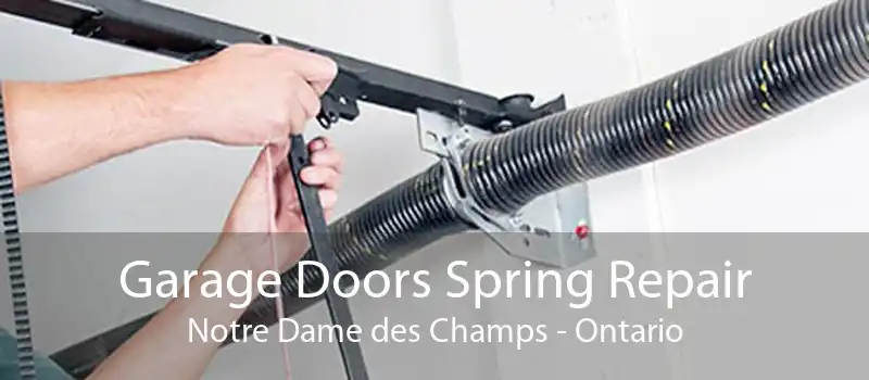 Garage Doors Spring Repair Notre Dame des Champs - Ontario