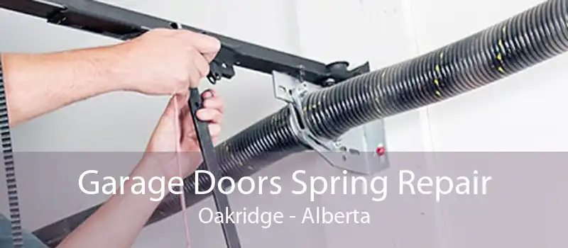 Garage Doors Spring Repair Oakridge - Alberta