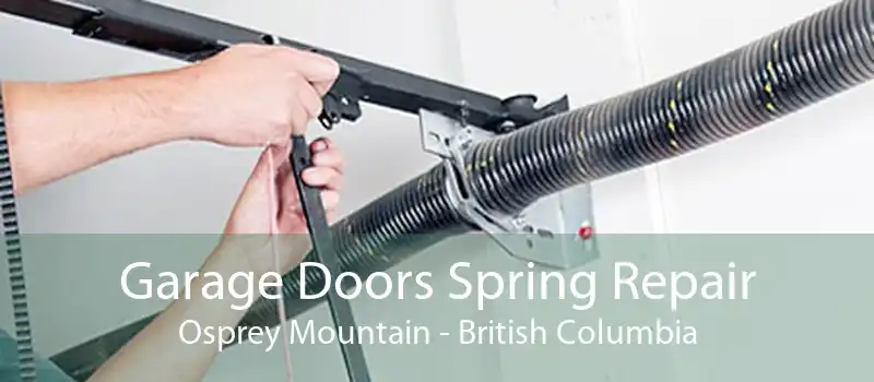 Garage Doors Spring Repair Osprey Mountain - British Columbia