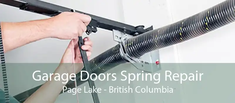 Garage Doors Spring Repair Page Lake - British Columbia