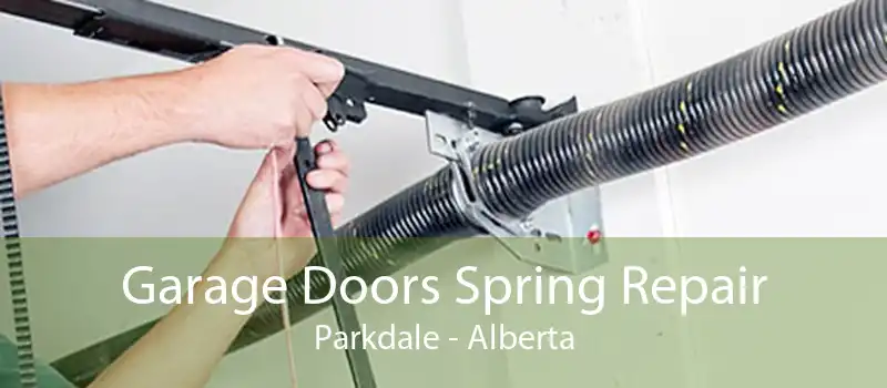 Garage Doors Spring Repair Parkdale - Alberta
