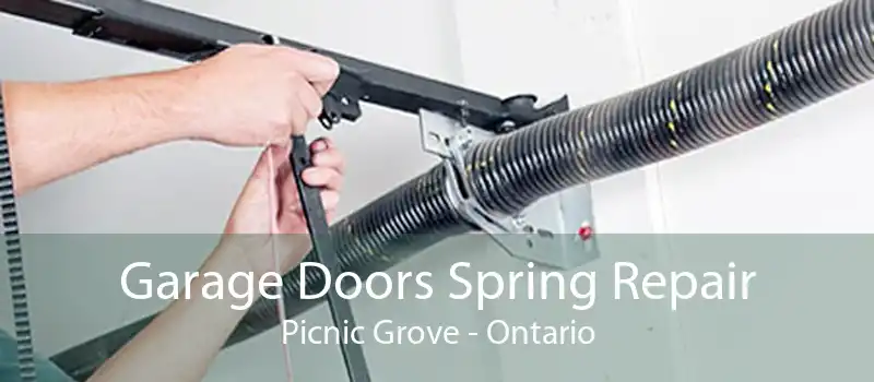 Garage Doors Spring Repair Picnic Grove - Ontario