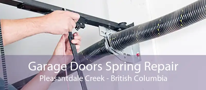 Garage Doors Spring Repair Pleasantdale Creek - British Columbia
