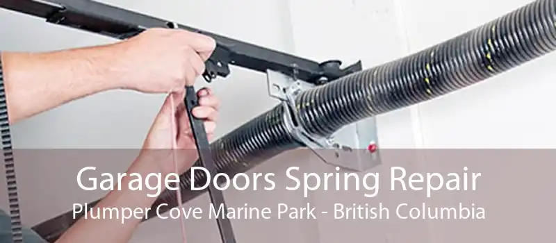 Garage Doors Spring Repair Plumper Cove Marine Park - British Columbia