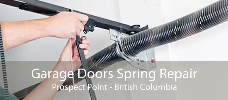Garage Doors Spring Repair Prospect Point - British Columbia