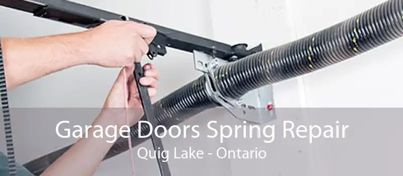 Garage Doors Spring Repair Quig Lake - Ontario