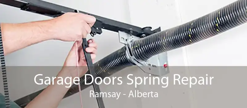 Garage Doors Spring Repair Ramsay - Alberta