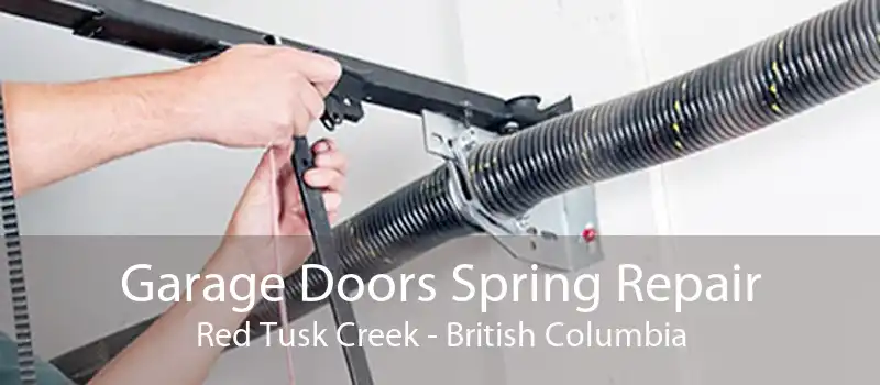 Garage Doors Spring Repair Red Tusk Creek - British Columbia