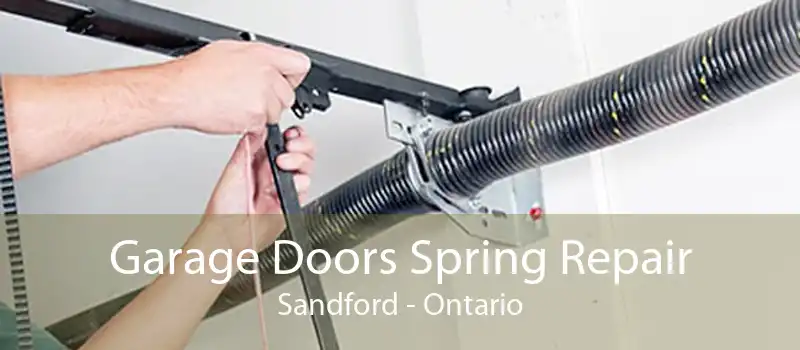 Garage Doors Spring Repair Sandford - Ontario