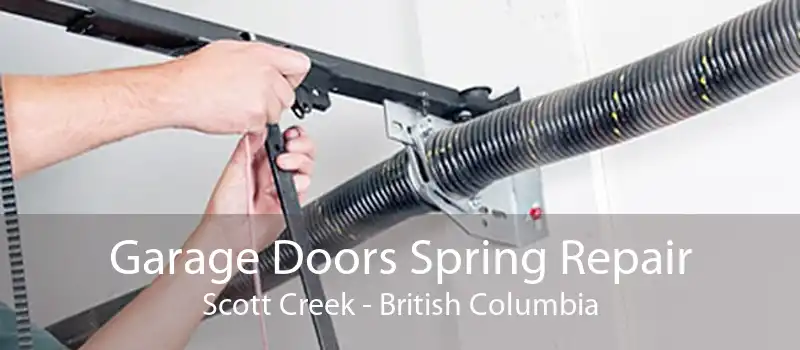 Garage Doors Spring Repair Scott Creek - British Columbia