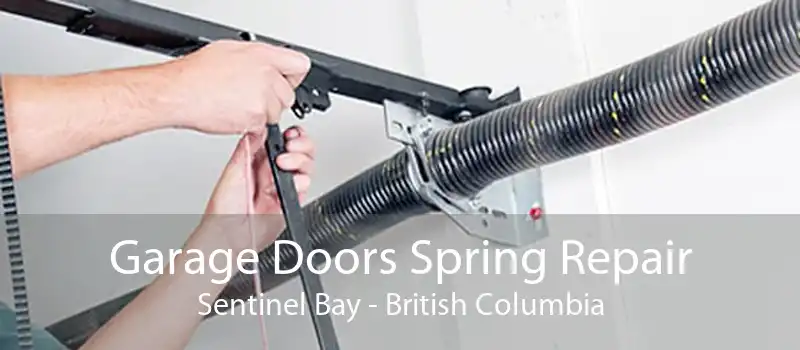 Garage Doors Spring Repair Sentinel Bay - British Columbia