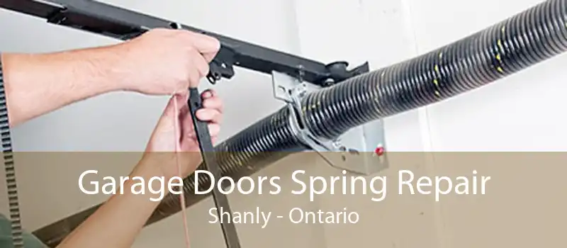 Garage Doors Spring Repair Shanly - Ontario