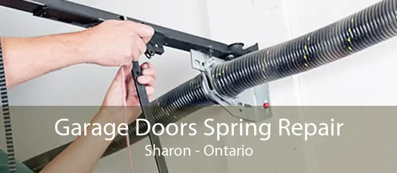 Garage Doors Spring Repair Sharon - Ontario