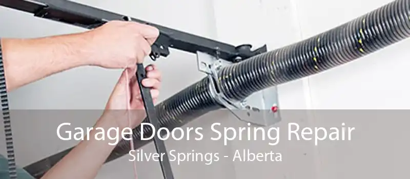 Garage Doors Spring Repair Silver Springs - Alberta