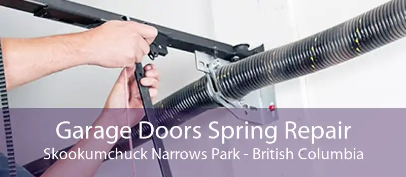 Garage Doors Spring Repair Skookumchuck Narrows Park - British Columbia