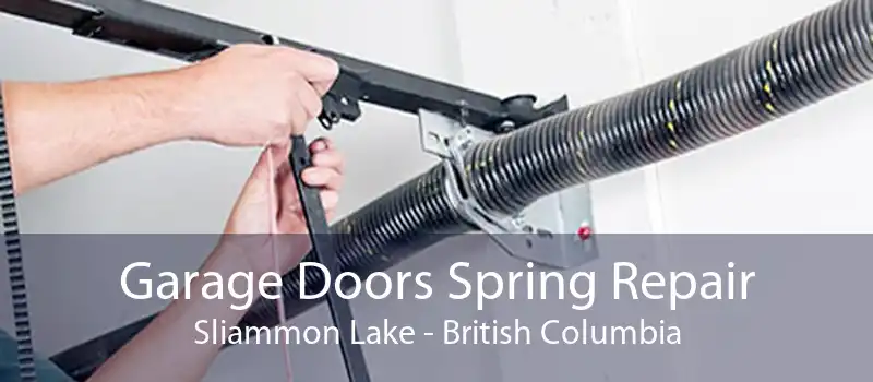 Garage Doors Spring Repair Sliammon Lake - British Columbia