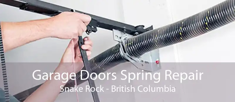 Garage Doors Spring Repair Snake Rock - British Columbia