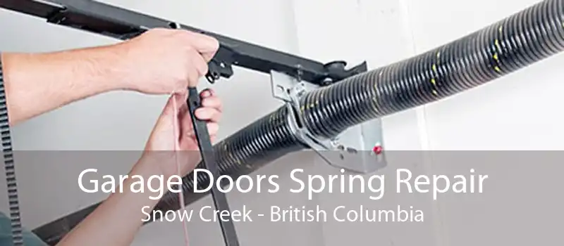 Garage Doors Spring Repair Snow Creek - British Columbia
